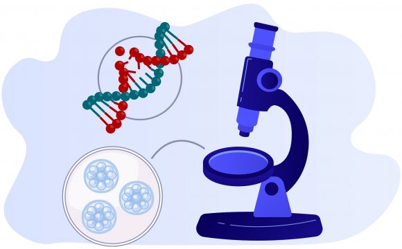 Preimplantasyon Genetik Tanı (PGT)