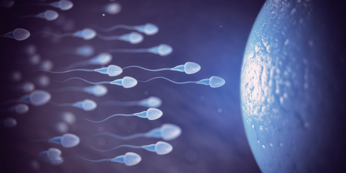 İnfertilite (Kısırlık) Nedir?