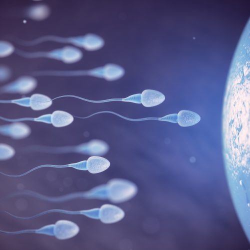 İnfertilite (Kısırlık) Nedir?