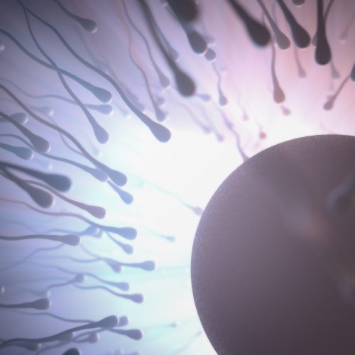 Sperm Analizi Nasıl Yapılır, Nasıl Değerlendirilir?