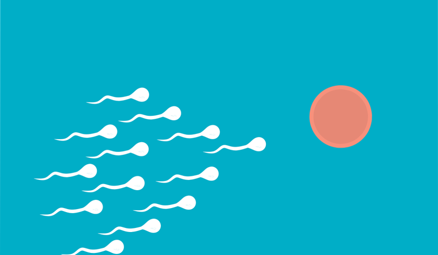 IMSI (İntrasitoplasmik Morfolojiye Göre Seçilmiş Sperm Enjeksiyonu)